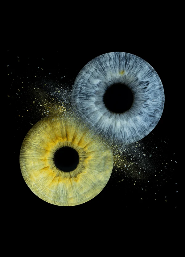 Deux iris bleu et doré reliés par un effet de particules dans Duo Fusion.