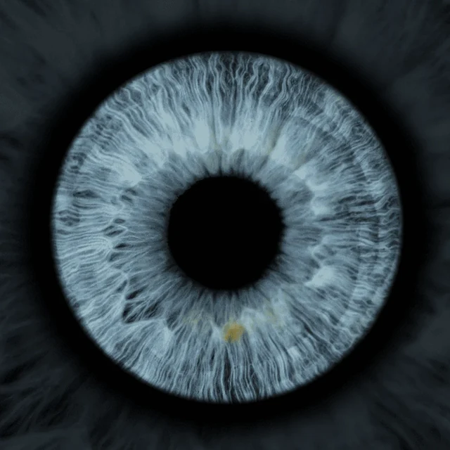 Photographie macro originale d’un iris bleu.