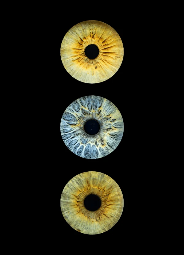 Trois iris, deux dorés et un bleu, alignés verticalement sur fond noir.